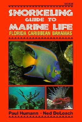 Snorkeling Guide to Marine Life: Florida, Caribbean, Bahamas