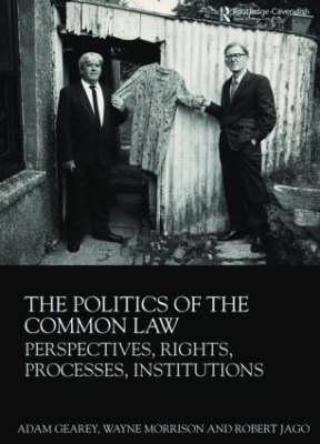 The Politics of the Common Law: Perspectives, Rights, Processes, Institutions - Thryft