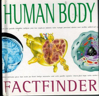 Human Body Factfinder - Thryft