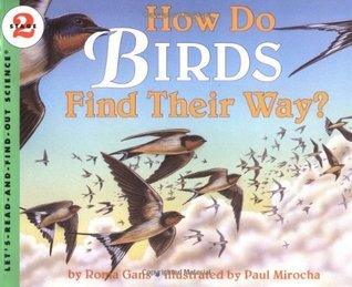 How Do Birds Find Their Way? - Thryft
