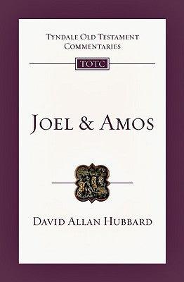 Joel and Amos : An Introduction and Commentary - Thryft