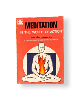 Meditation in the World of Action - Thryft