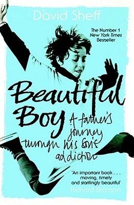 Beautiful Boy - A Father's Journey Through His Son's Addiction - Thryft