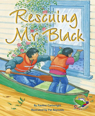 Rescuing Mr Black - Flying Colours