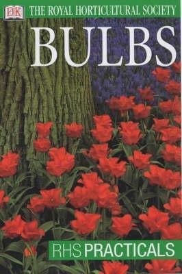 Bulbs - Thryft