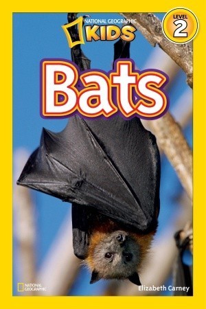 Bats - National Geographic Kids Readers: Level 2