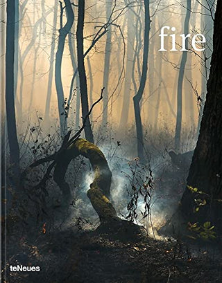Fire - Prix Pictet
