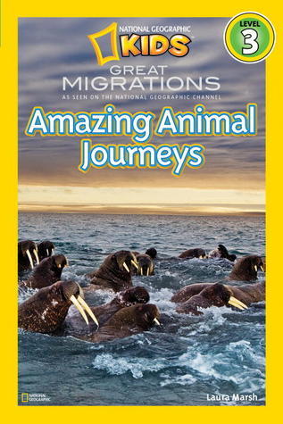 Amazing Animal Journeys - Great Migrations