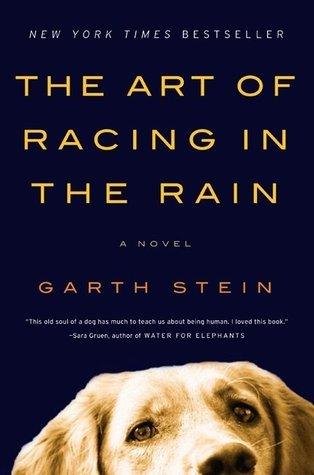 The Art of Racing in the Rain - Thryft