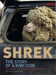 Shrek - Thryft