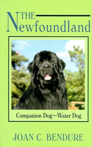 The Newfoundland Companion Dog, Water Dog