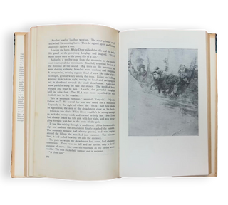 Tracks in the Snowy Forest