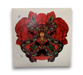 Festivál = フェスティバル