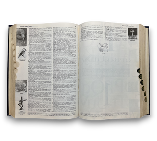 The American Heritage Dictionary