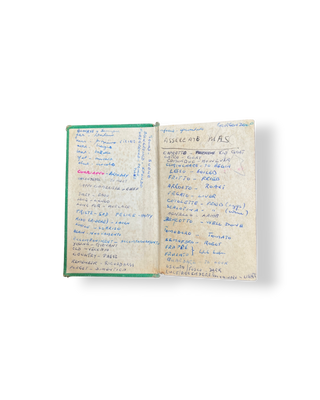 Hugo's Pocket Dictionary: Italian-English and English-Italian