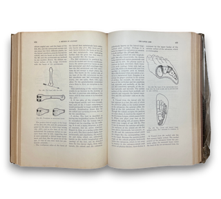 A Method of Anatomy: Descriptive and Deductive