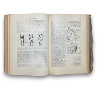 A Method of Anatomy: Descriptive and Deductive