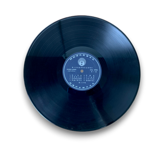 南遊首張紀念金唱片 [ 情人恰恰 / 不是春雨沒有來 ]