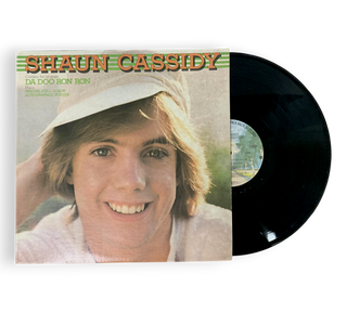 Shaun Cassidy