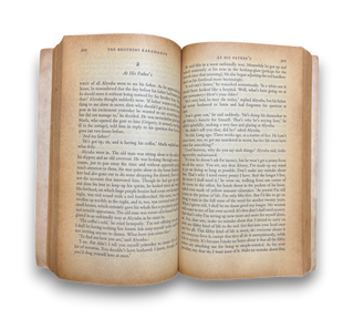 The Brothers Karamazov
