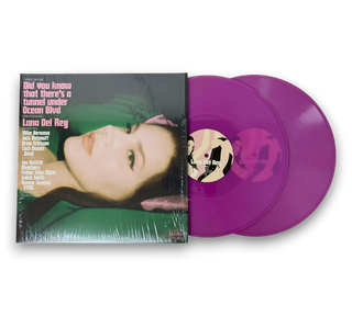 Did You Know That There's A Tunnel Under Ocean Blvd