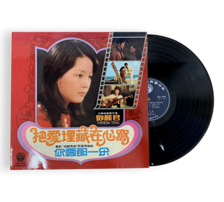 A Collection Of Teresa Teng Records