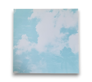 Surf Break From Jamaica