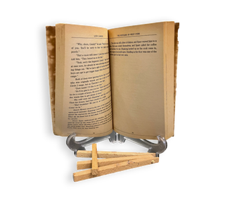 The Rustlers of West Fork