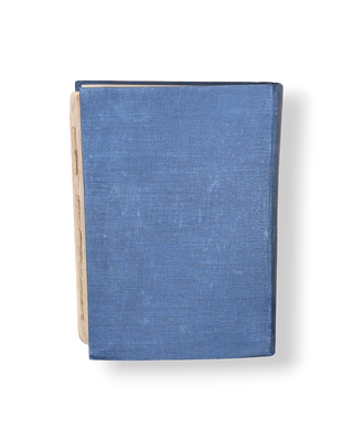 Guide Bleu: Italy