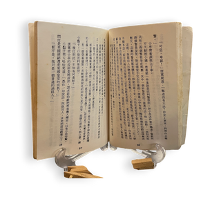 墙尸