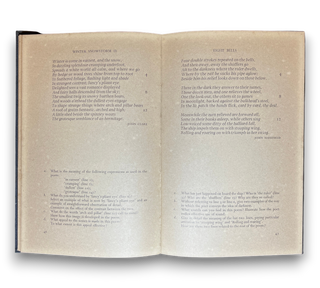 At First Sight: Poems for Analysis and Appreciation