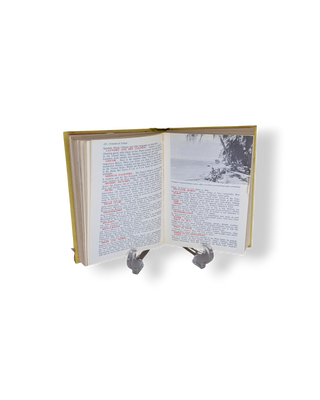 New Horizons World Guide