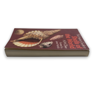 The Hamlyn Guide to Shells of the World