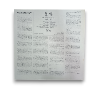 Statements And Sketches For Development