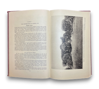 The Geography of the Flowering Plants