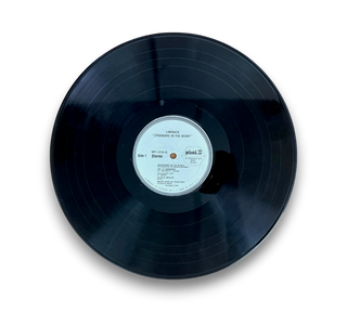 Strangers In The Night