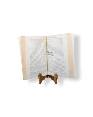 Mind: An Essay on Human Feeling, Volume I