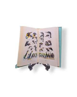 Birds of the Antarctic and Sub-Antarctic