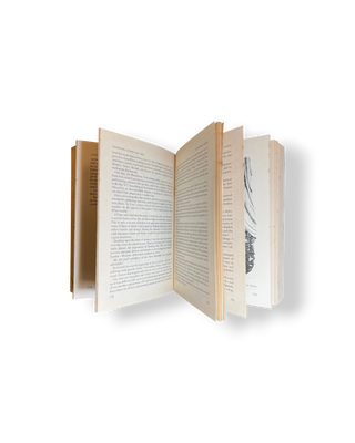 Adventure Stories for Girls