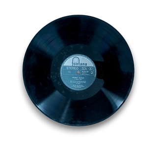 Der Zigeunerbaron / Polenblut