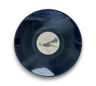 In The Aeroplane Over The Sea