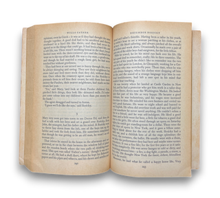 The Penguin Book of American Short Stories