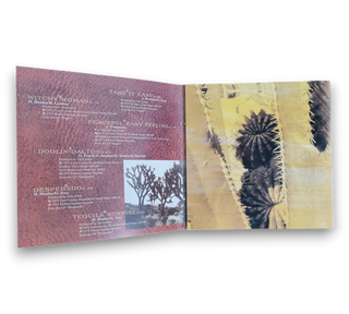 The Very Best Of The Eagles