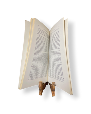 Categorial Frameworks