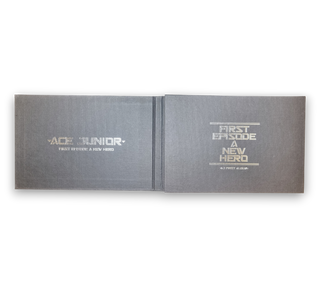 First Episode A New Hero