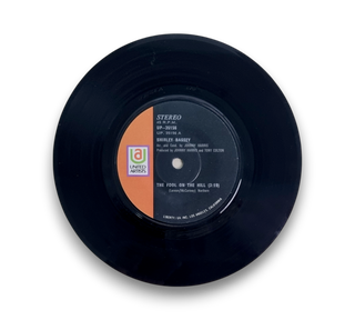 The Fool On The Hill