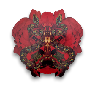 Festivál = フェスティバル