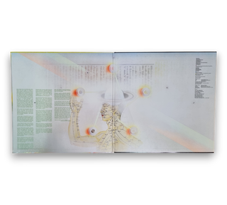 Lee Ritenour & His Gentle Thoughts