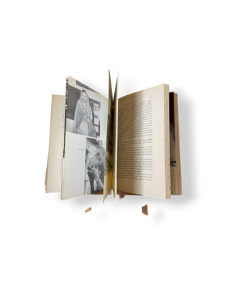 Ambassador's Journal: A Personal Account of the Kennedy Years