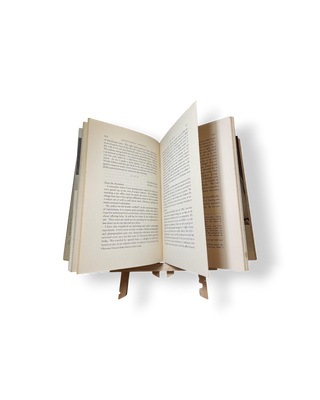 Ambassador's Journal: A Personal Account of the Kennedy Years